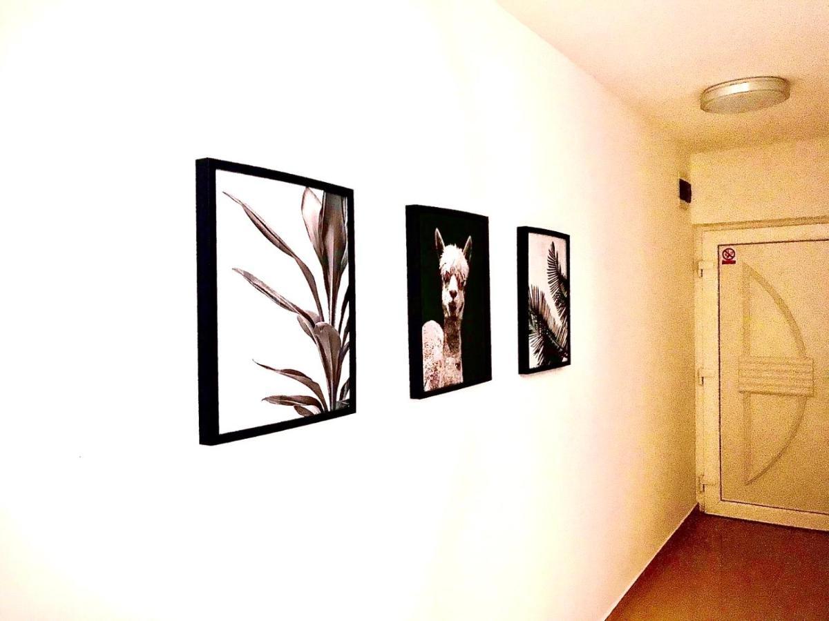 Vila Palit 497 D Apartment E Luaran gambar